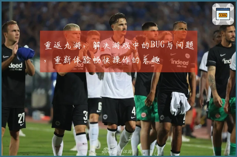 重返九游，解决游戏中的BUG与问题，重新体验畅快操作的乐趣