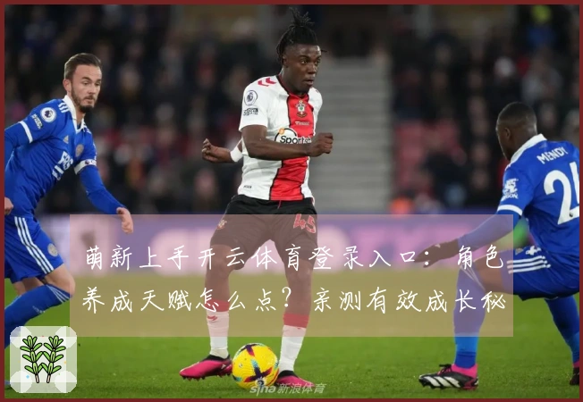 萌新上手开云体育登录入口：角色养成天赋怎么点？亲测有效成长秘籍速看